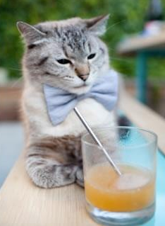 世俱杯直播-世界青少年趣味运动会青春无限青春精彩，世界青年运动会开幕式