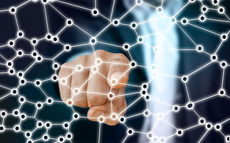 2025世俱杯-中国篮球市场细分与精准营销实践探讨,中国的篮球市场