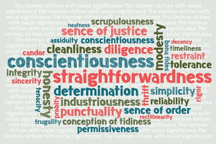 足球世界俱乐部杯直播-中小学体育师资现状调查与专业发展建议,中小学体育教师的专业素养