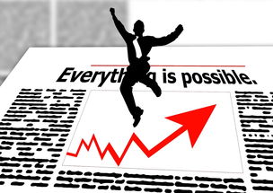 足球世界俱乐部杯直播-中小学体育师资现状调查与专业发展建议,中小学体育教师的专业素养