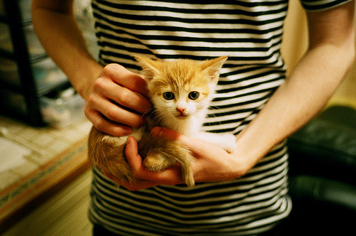 足球世界俱乐部杯直播-中小学体育师资现状调查与专业发展建议,中小学体育教师的专业素养