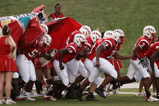 世俱杯直播-全国青少年马拉松赛南京站热力开启,2021南京马拉松赛