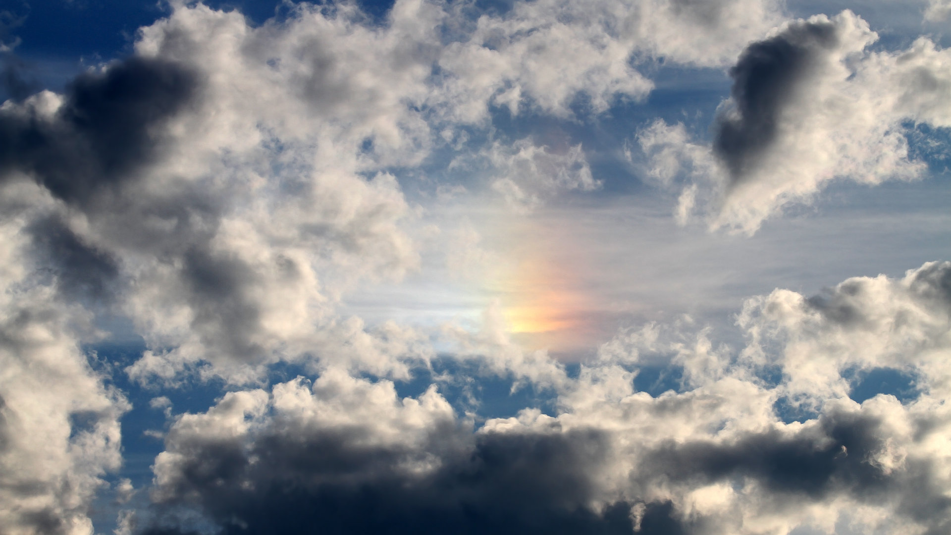 世俱杯直播-全国青少年马拉松赛南京站热力开启,2021南京马拉松赛