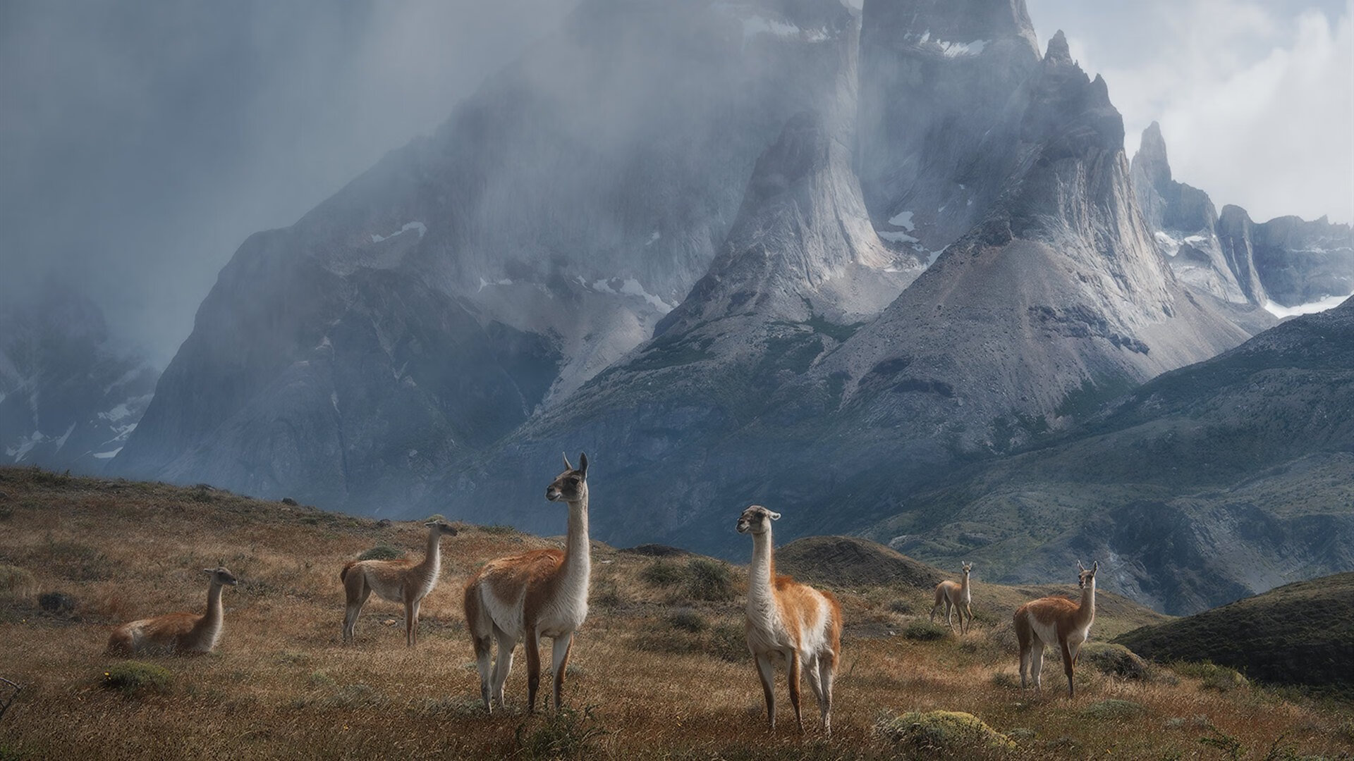 世界俱乐部杯-河北华夏崛起：中超球队的逆势追赶，河北华夏球员名单最新