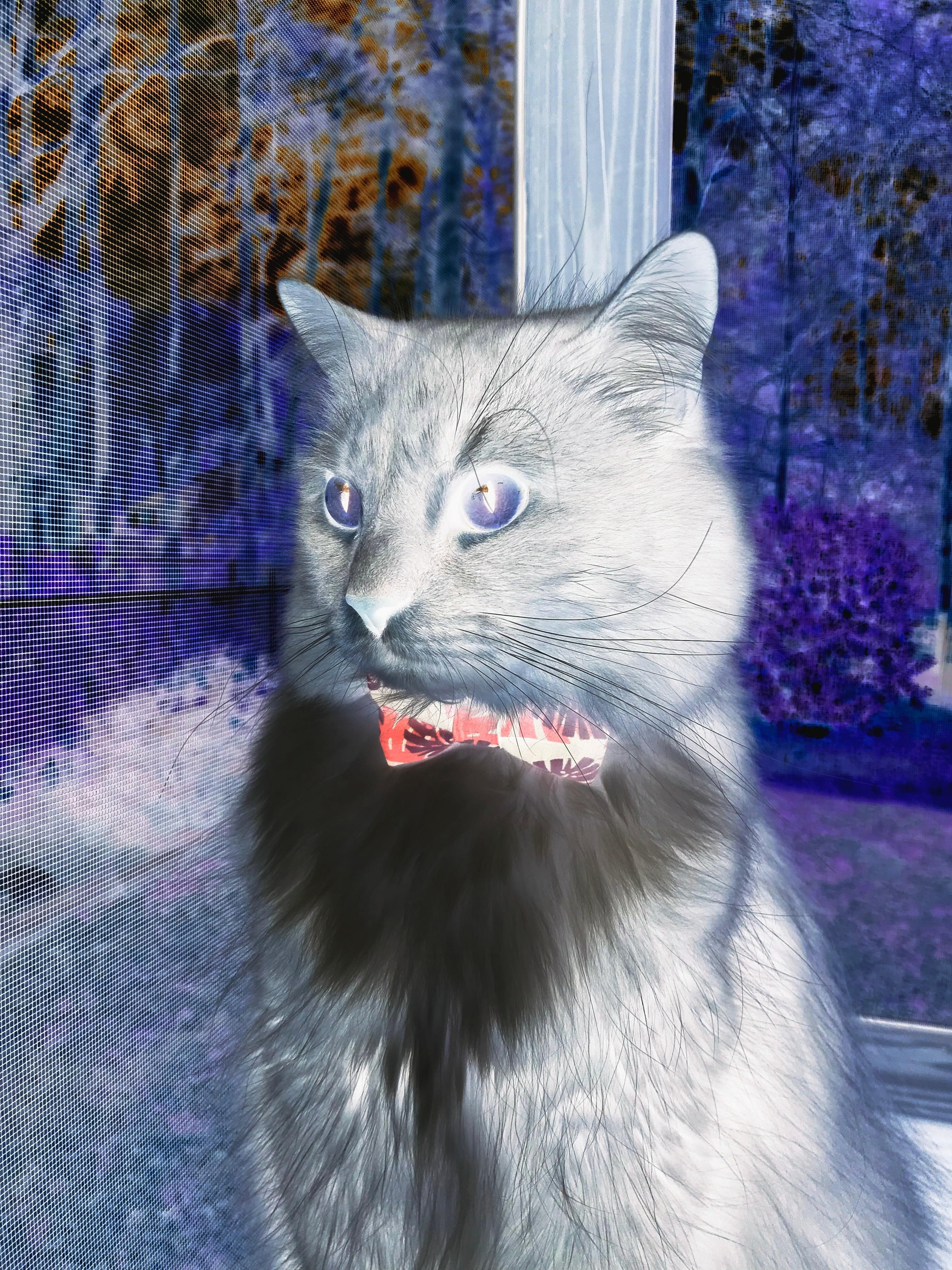 2025世俱杯赛程表-篮球运动员专项体能训练监测与反馈机制,篮球运动员体能训练内容