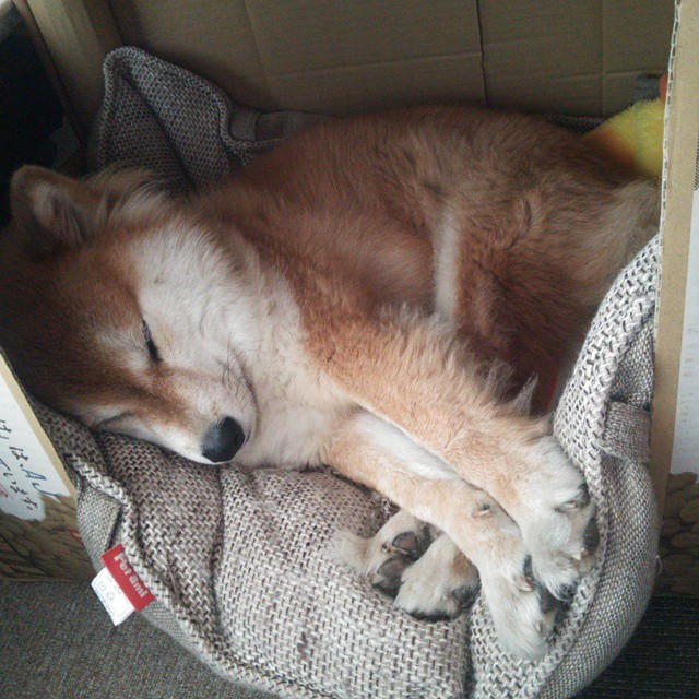 世俱杯比赛视频在线观看-CBA赛季赛事高潮迭起,cba 赛季