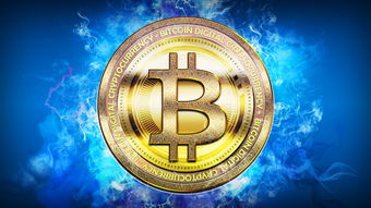 世俱杯专业体育赛事直播平台-体育新闻中心协办全国体育数字内容技术交流大会，体育数字化