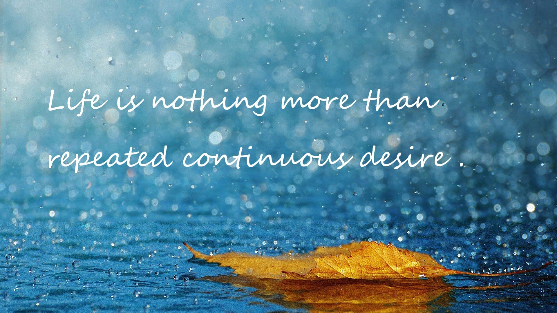 FIFA Club World Cup-国家铁人三项协会发布城市赛道通行与交通协调规定,中国铁人三项协会